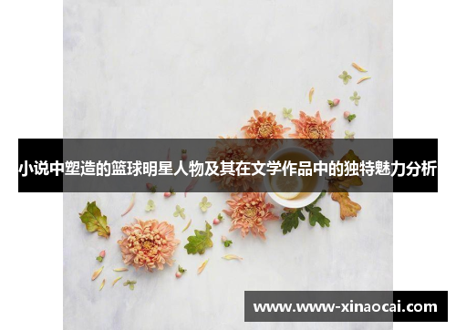 小说中塑造的篮球明星人物及其在文学作品中的独特魅力分析