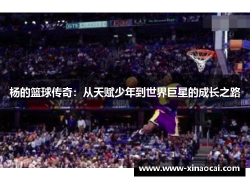 杨的篮球传奇：从天赋少年到世界巨星的成长之路