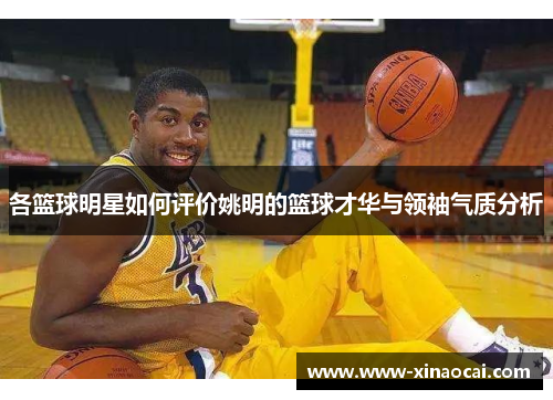 各篮球明星如何评价姚明的篮球才华与领袖气质分析