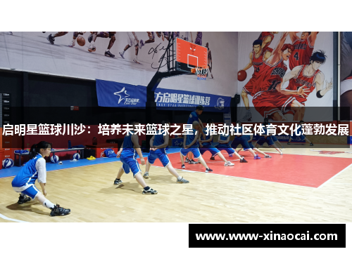 启明星篮球川沙：培养未来篮球之星，推动社区体育文化蓬勃发展