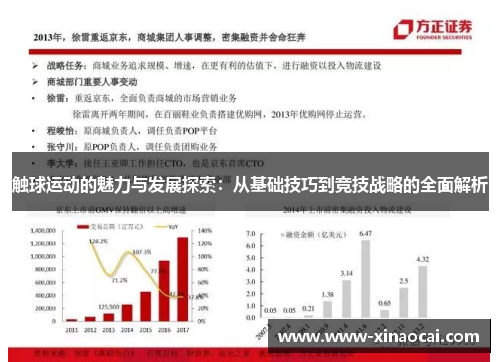 触球运动的魅力与发展探索：从基础技巧到竞技战略的全面解析