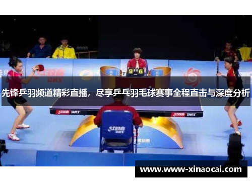 先锋乒羽频道精彩直播，尽享乒乓羽毛球赛事全程直击与深度分析